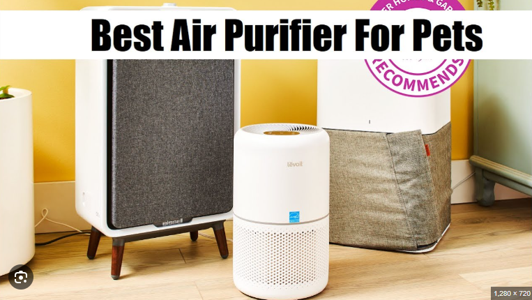 Office Air Purifier Review: The Best Air Purifiers for Workspaces in 2025