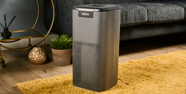 Bedroom Air Purifier Reviews: The Best Air Purifiers for Your Bedroom in 2025