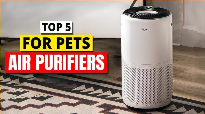 Air Purifier Buying Guide: How to Choose the Best Air Purifier in 2025