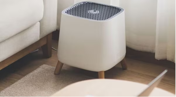 Mold Air Purifier Review: The Best Air Purifiers for Mold Control in 2025
