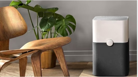 Affordable Air Purifier Reviews: Your Guide to Clean Air on a Budget
